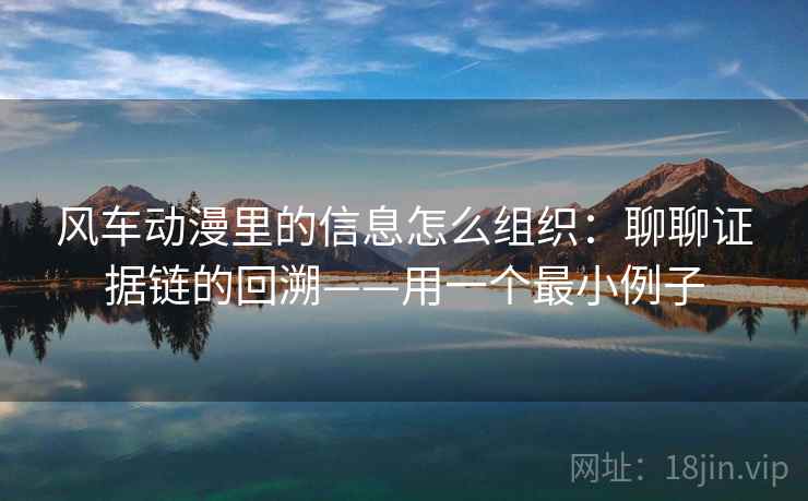 风车动漫里的信息怎么组织：聊聊证据链的回溯——用一个最小例子