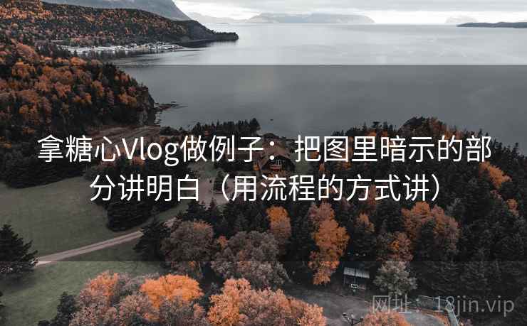 拿糖心Vlog做例子：把图里暗示的部分讲明白（用流程的方式讲）